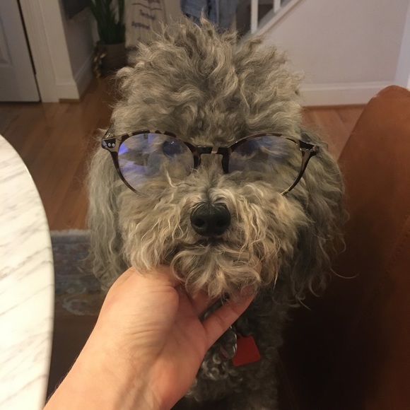 Meet your Posher, Laura - Picture 2 of 2